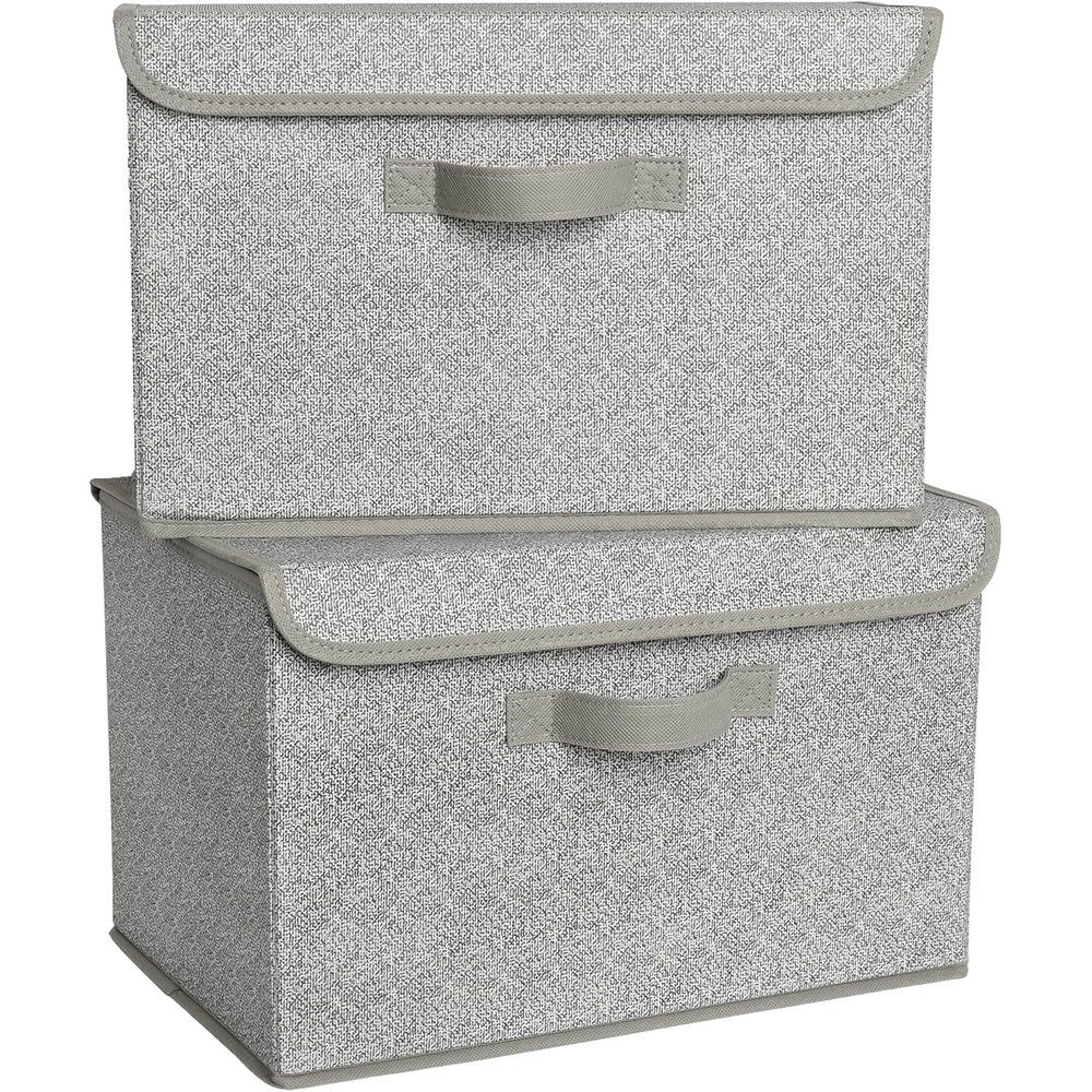 image:imageGRANNY SAYS Closet Storage Bins Storage Boxes with Lids Clothes Organizing Bins Lidded Baskets for Toys Clothing Gray Extra Large 2PackAsh Gray