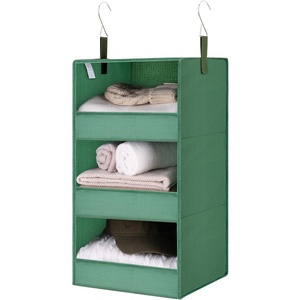 image:imageGRANNY SAYS 3Shelf Hanging Closet Organizer and Storage Collapsible Hanging Closet Shelves Hanging Organizer for Closet amp RV Gray 29  H X 12 W X 12 D 1Pack3shelf Dark Green