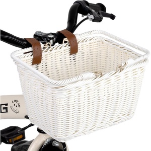 image:imageGRANNY SAYS Kids Bike Basket Front Bicycle Bike Baskets for Kids Small Wicker Bike Basket for Boys and Girls Small Wicker Basket for Bike 1PackWhite
