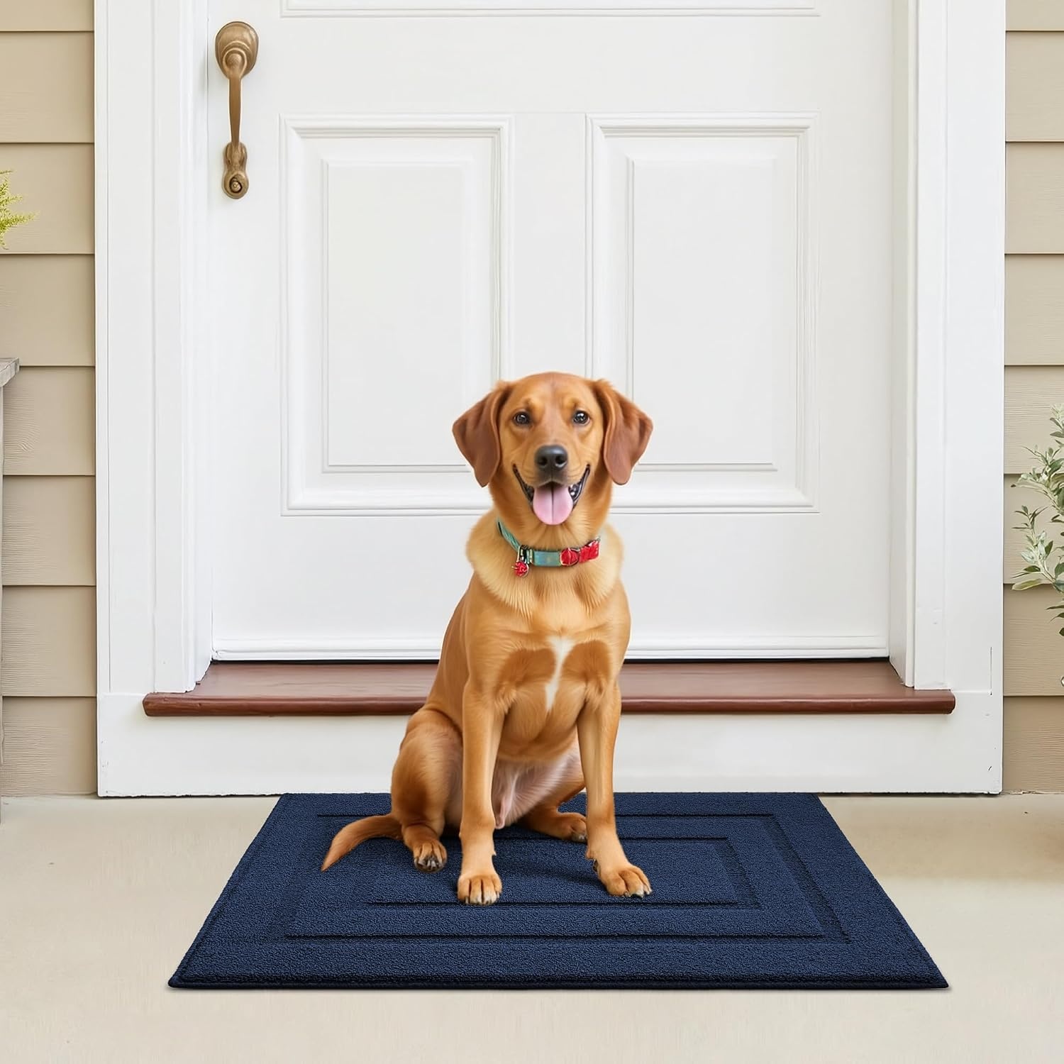image:imageGRANNY SAYS Front Door Mat Indoor Entrance Indoor Door Rugs for Entryway LowProfile NonSlip Outdoor Rugs Washable Floor Mat Welcome Mat 32x20 GreyAdeep Blue
