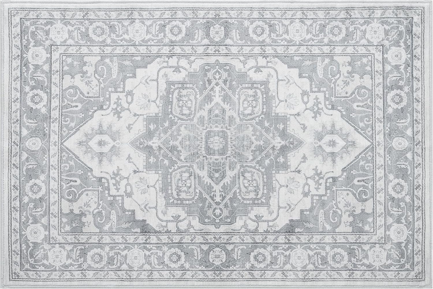 image:imageGRANNY SAYS Front Door Mat Indoor Entrance Indoor Doormat 2 x 3 Washable Mat Low Profile Stain Resistance Mats for Entryway Porch Rug Aqua FloralSilver Gray
