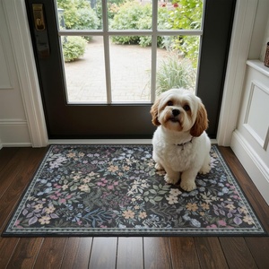 image:imageGRANNY SAYS Front Door Mat Indoor Entrance Indoor Doormat 2 x 3 Washable Mat Low Profile Stain Resistance Mats for Entryway Porch Rug Aqua FloralBlack Flowers2