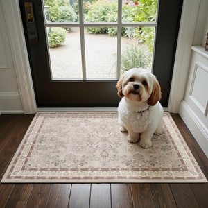 image:imageGRANNY SAYS Front Door Mat Indoor Entrance Indoor Doormat 2 x 3 Washable Mat Low Profile Stain Resistance Mats for Entryway Porch Rug Aqua FloralBrown Flowers