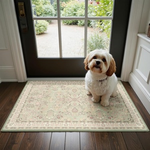 image:imageGRANNY SAYS Front Door Mat Indoor Entrance Indoor Doormat 2 x 3 Washable Mat Low Profile Stain Resistance Mats for Entryway Porch Rug Aqua FloralGreen