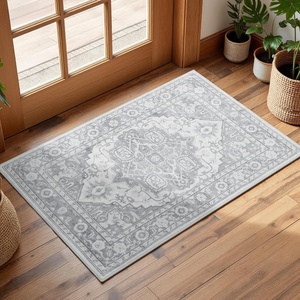 image:imageGRANNY SAYS Front Door Mat Indoor Entrance Indoor Doormat 2 x 3 Washable Mat Low Profile Stain Resistance Mats for Entryway Porch Rug Aqua FloralSilver Gray